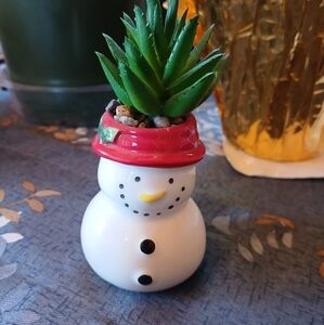 Festive Snowman Planter with Green Succulent